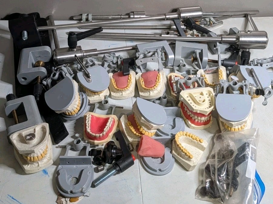 Vintage Dental Typodont Lot With Mounting Poles - AS-IS - INCOMPLETE 