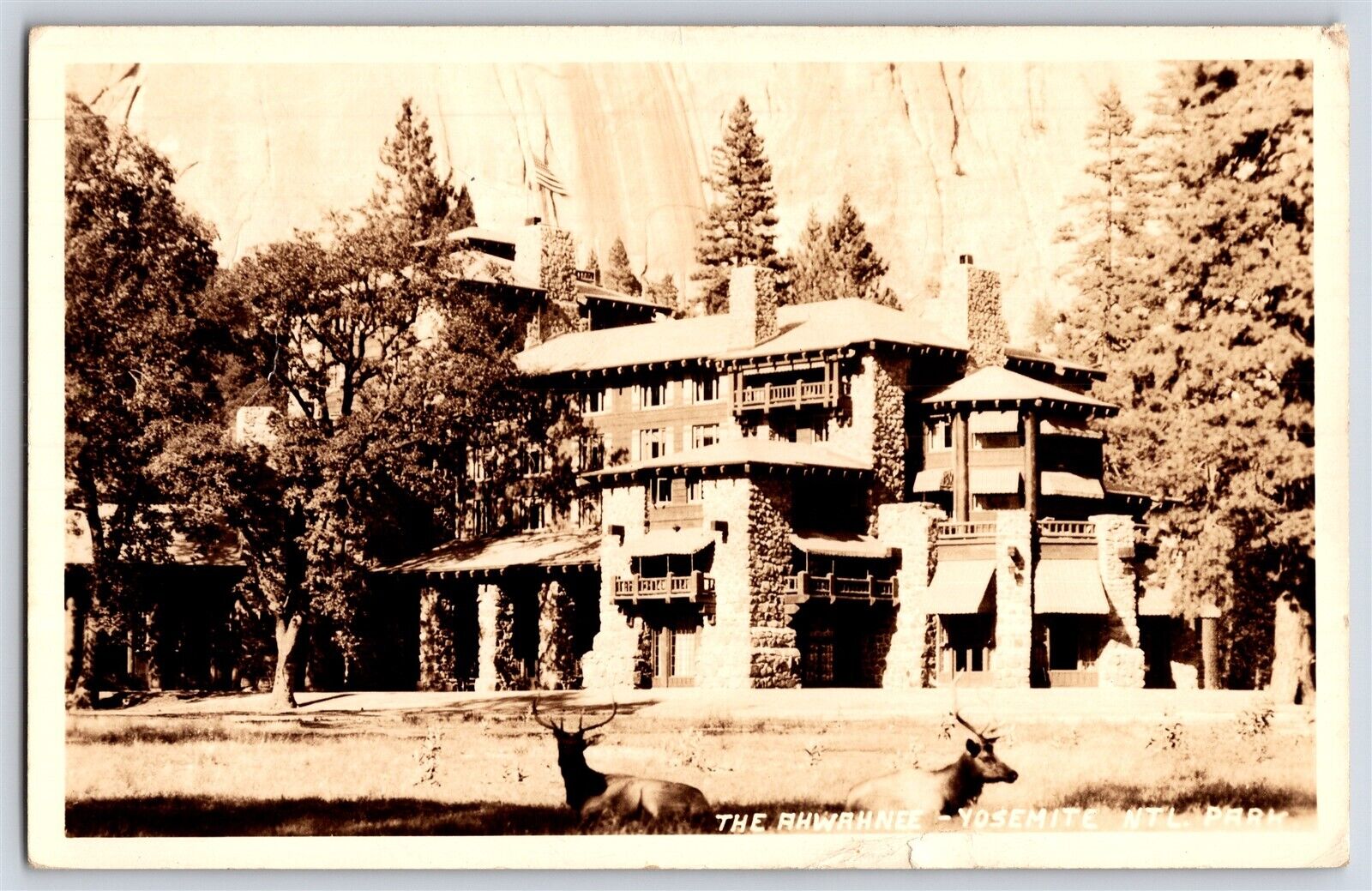 Postcard CA Yosemite National Park The Ahwahnee Lodge Elk RPPC c1930s Q30