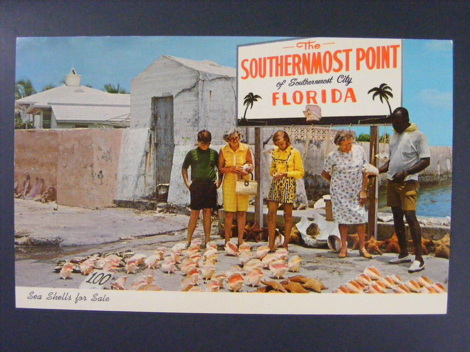 Sea Shells Southernmost Point City Florida FL Postcard c1960's-70's