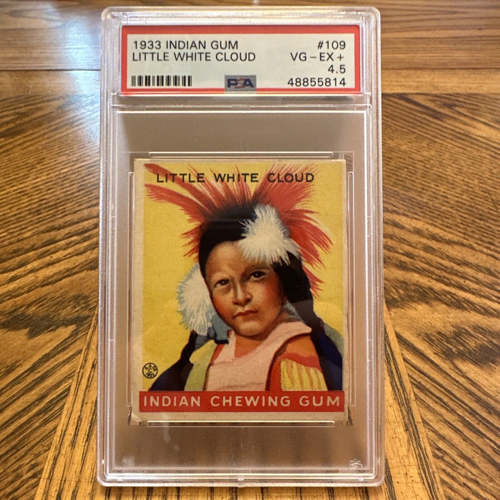 1933  Goudey Indian Gum Card #109 Little White Cloud PSA 4.5 VG-EX