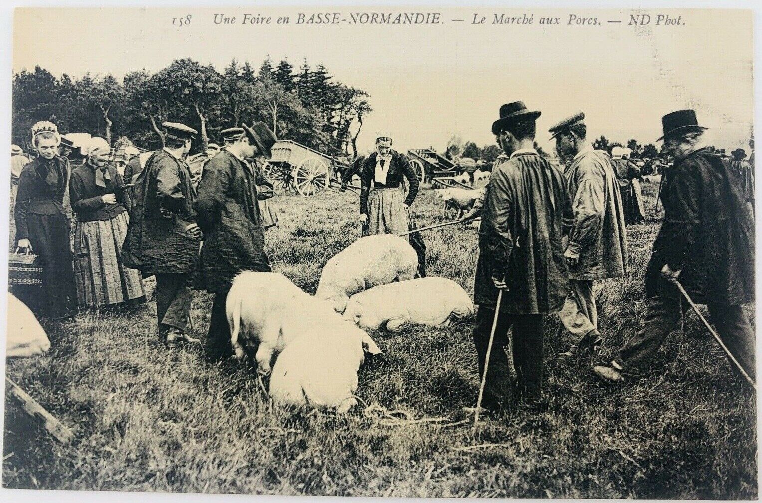 Vintage Normandy France RPPC A Fair in Lower Normandy The Pig Market Postcard