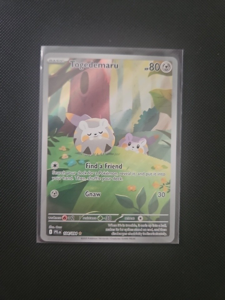 Togedemaru #104 Pokemon Phantasmal Flames