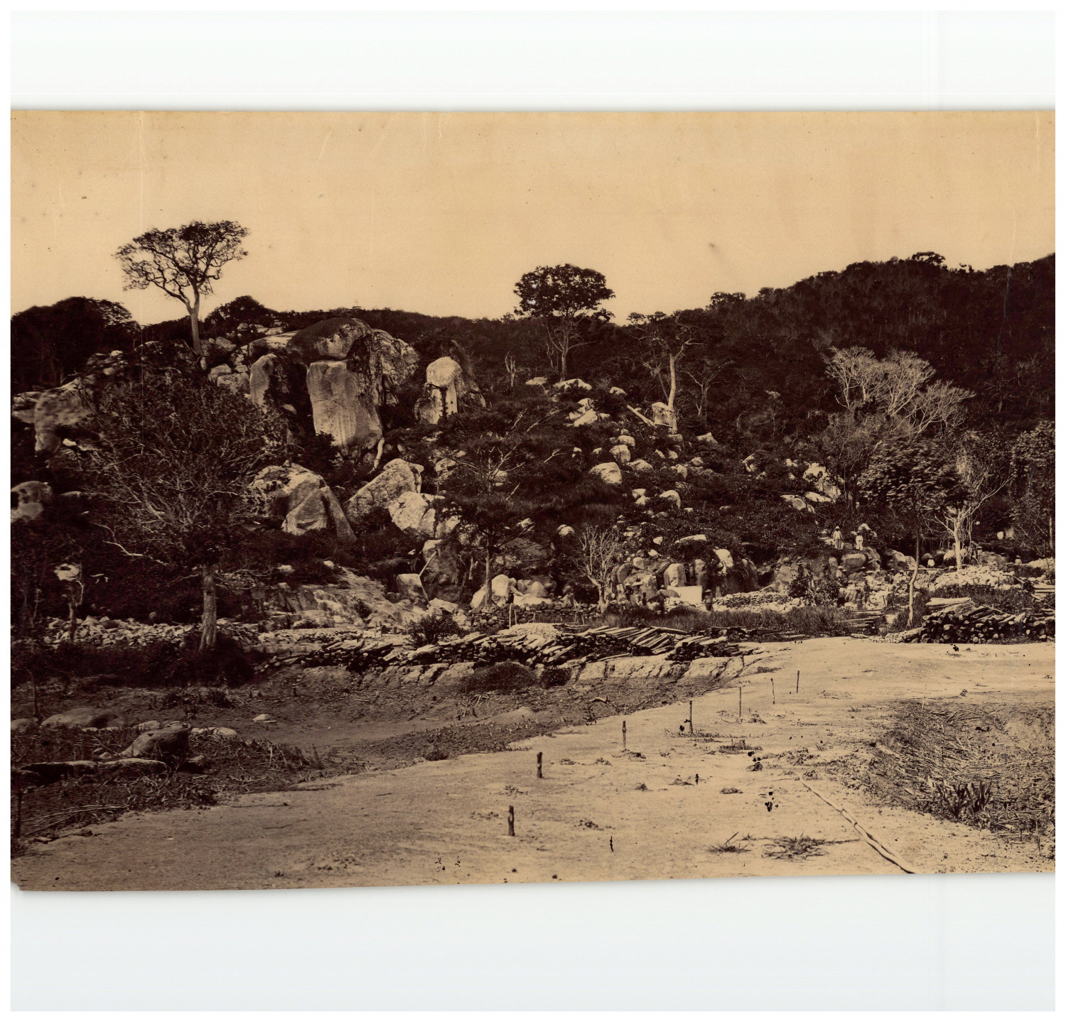 France, Fontainebleau, Étude d'après Nature vintage albumen print print print print 