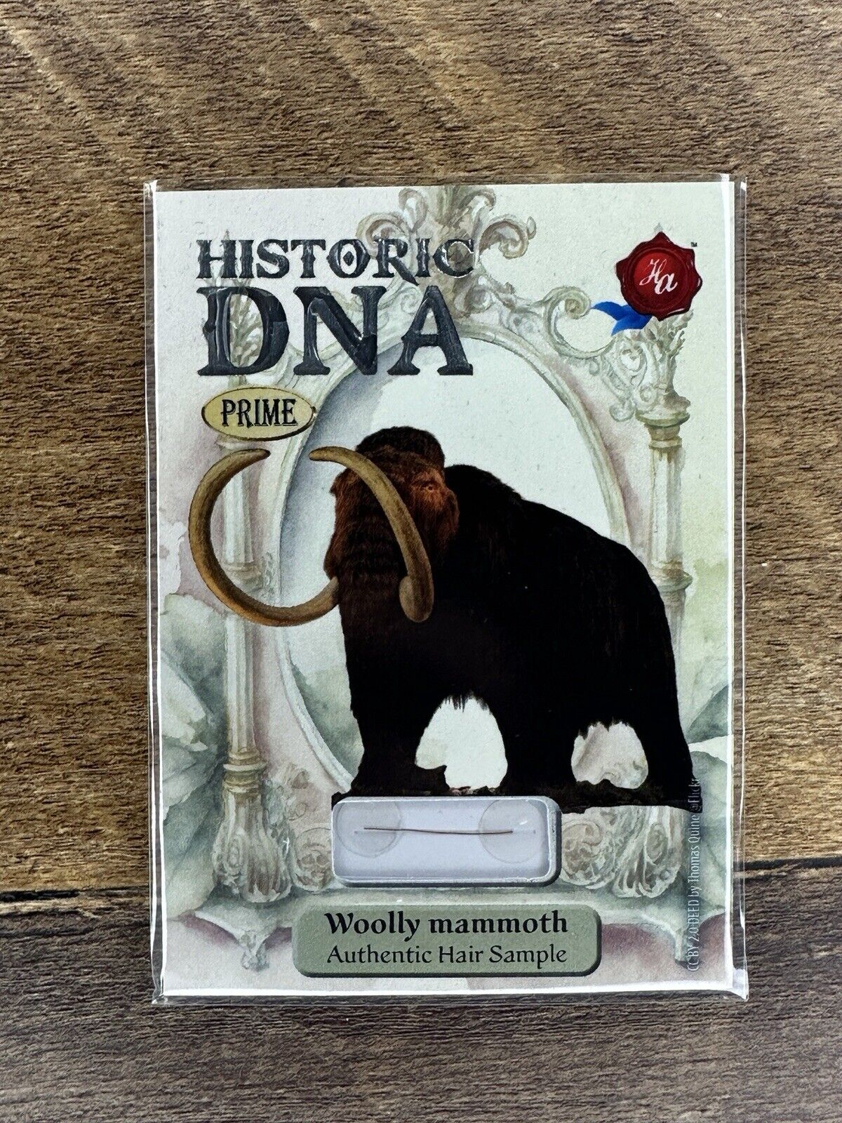 2024 Historic Autograph Company Historic DNA Woolly Mammoth Authentic Hair 2/24