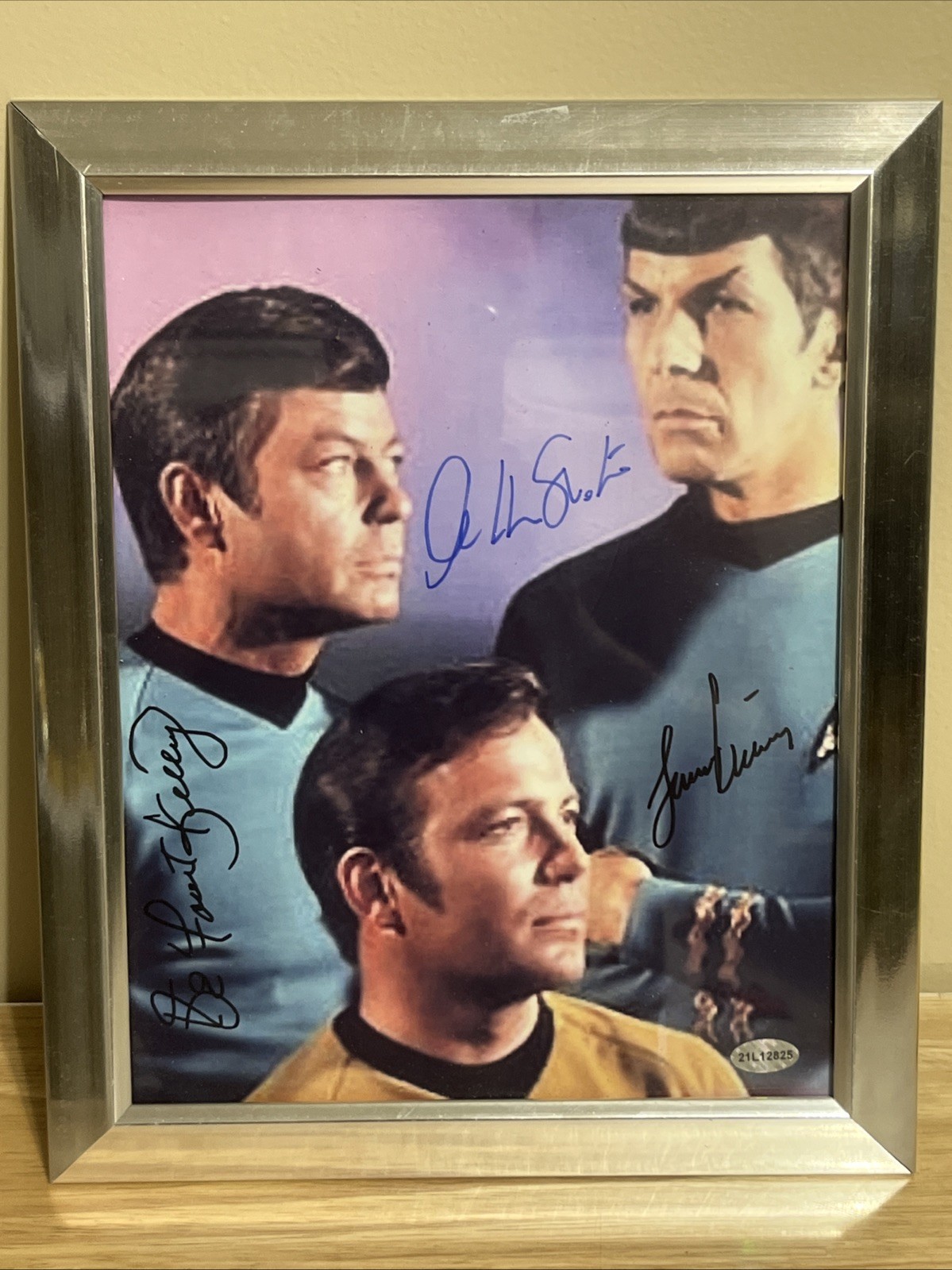 Star Trek DeForest Kelley, William Shatner, Leonard Nimoy Signed 8x10 Photo