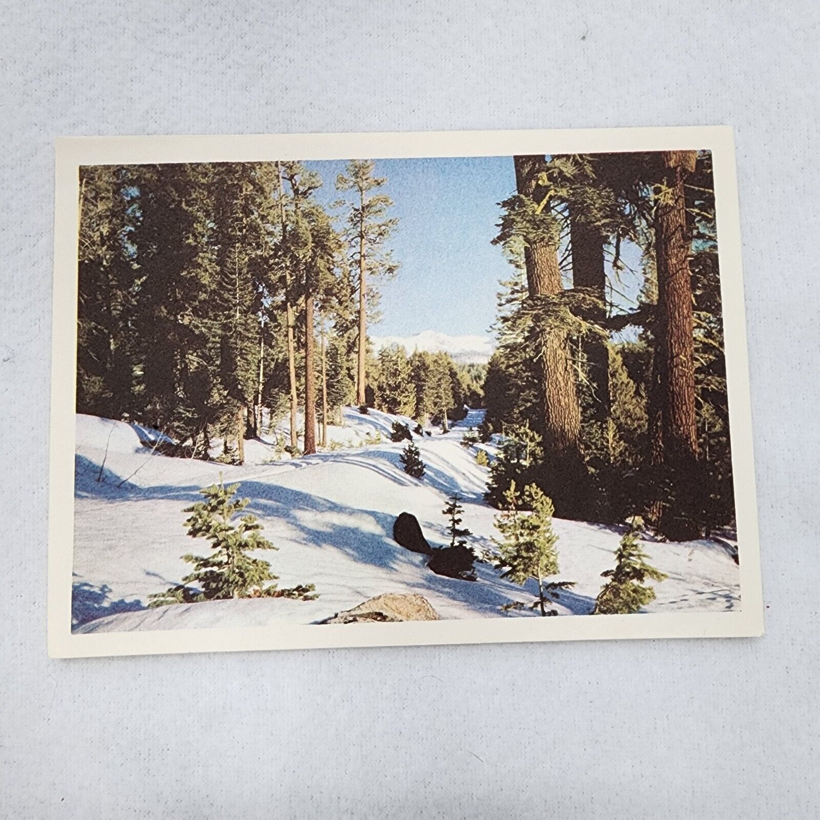 Vintage Christmas Greetings Card 5.5x4 Holiday Seasons Snow Covered Forest Trail