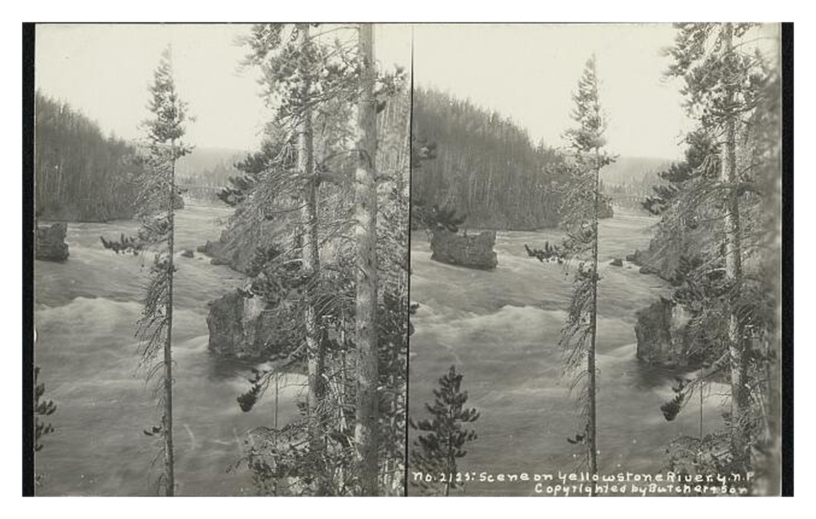 Yellowstone River Yellowstone NP Standard Postcard