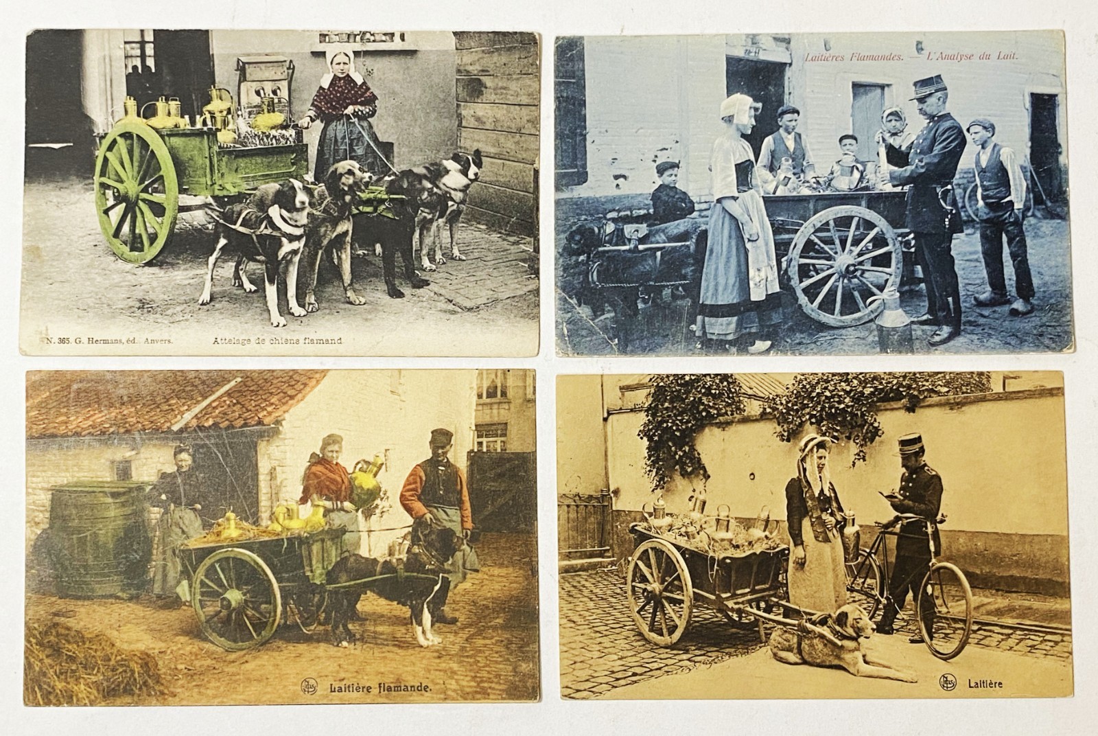 4 Antique 1906-1912 Vtg Belgium Flemish Dog Pulled Milk Cart Postcard Lot