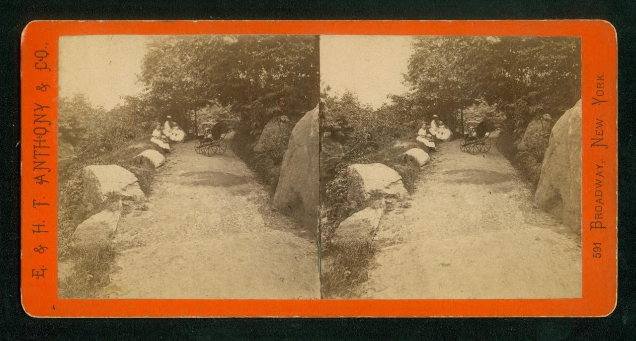 a738, E & H T Anthony Stereoview, #5406, View in the Ramble, NY 1870s