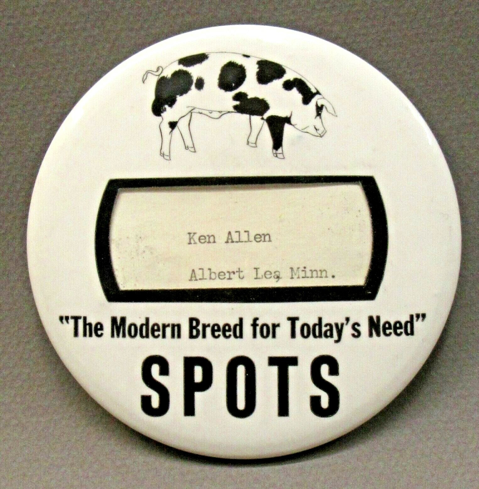 Gloucestershire SPOTS Modern Breed for Today's Needs 4