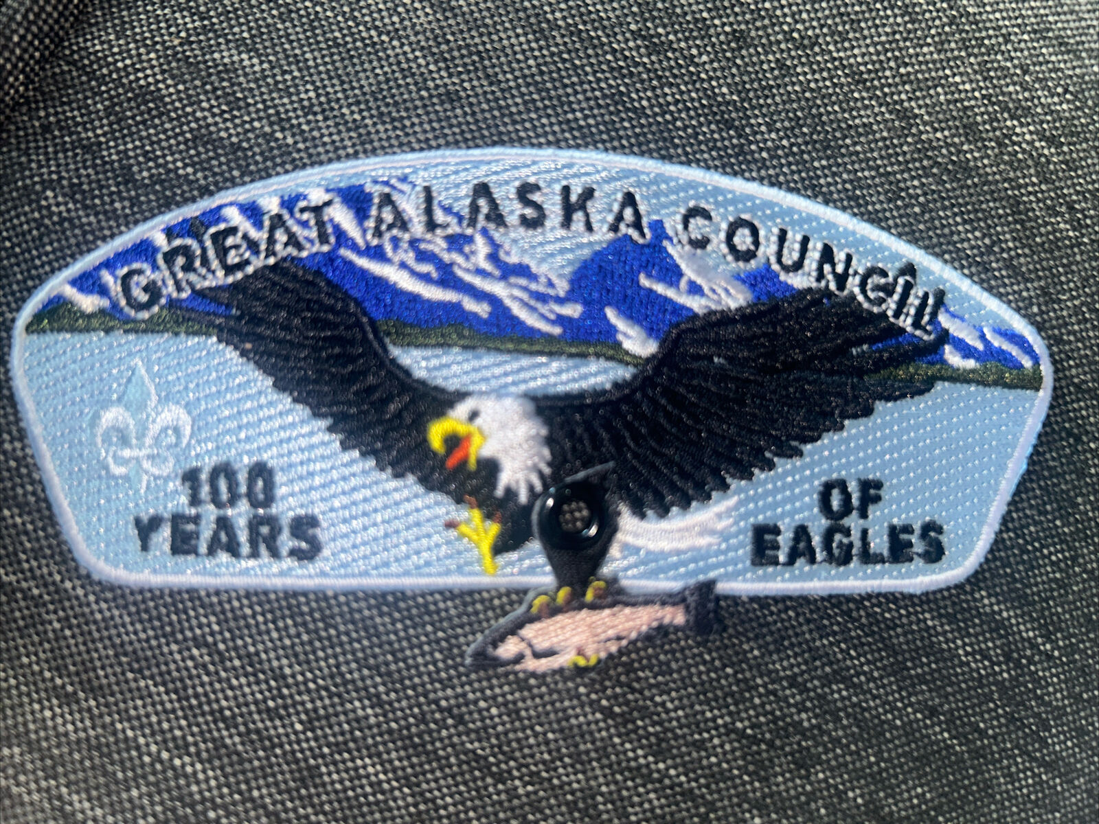 MINT CSP Great Alaska Council 100 Years of Eagles 2010 SA-23