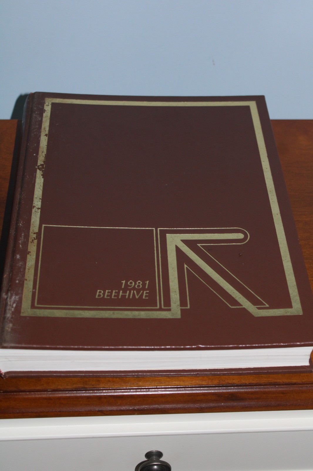 1981 Radford College Yearbook Radford University Virginia The Beehive