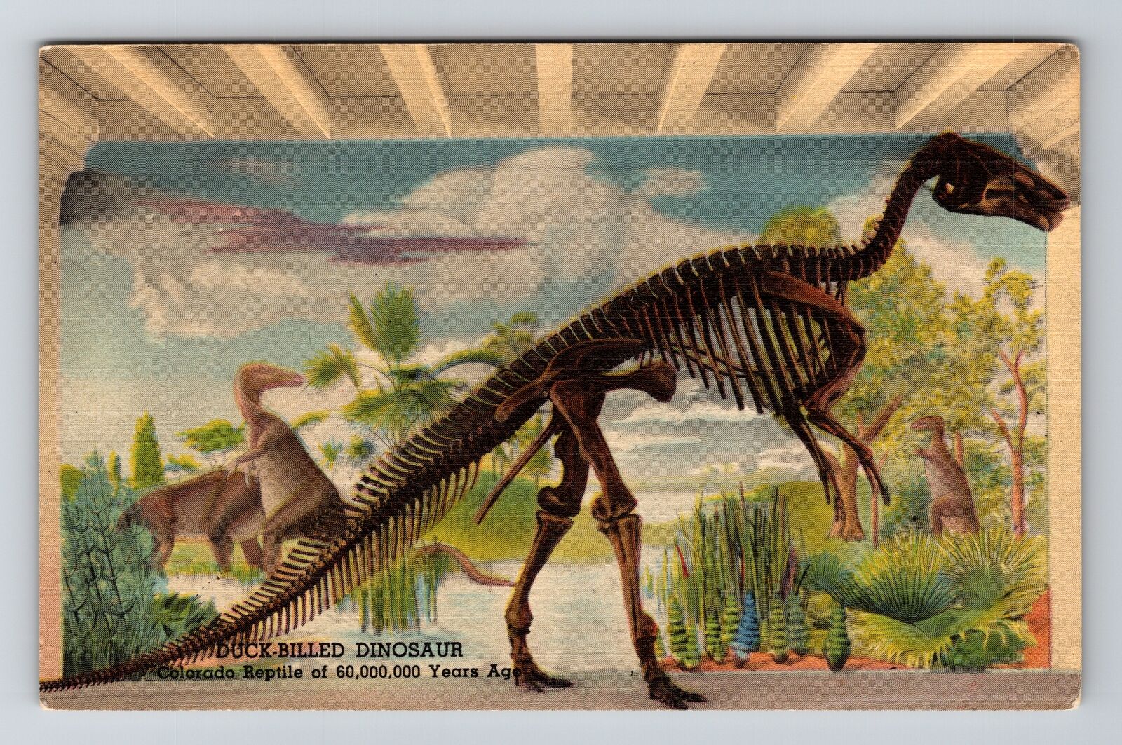 Denver CO-Colorado, The Denver Museum, Vintage Postcard