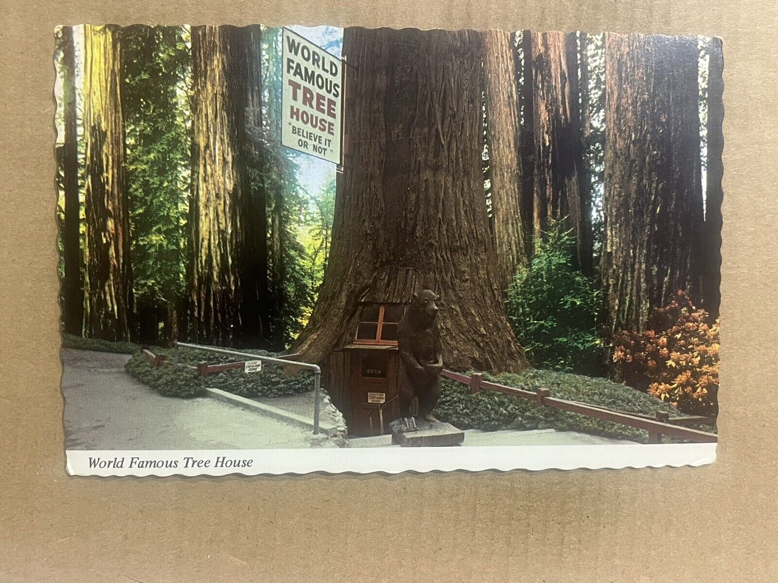 Postcard Laytonville CA California World Famous Tree House Park Redwood Highway