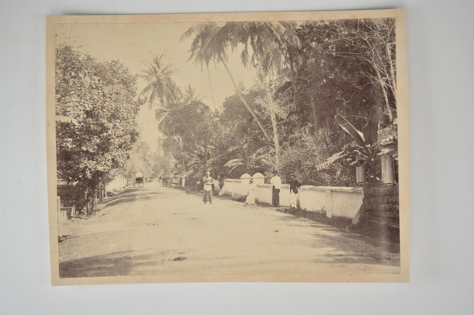 Galle Road Colombo Ceylon Street Scene Palm Trees Carriages c1880s VTG Photo
