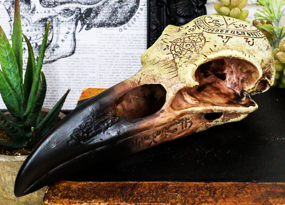 Ebros Pentagram Omega Alchemy Raven Crow Skull Figurine with Carved Rune Symbols