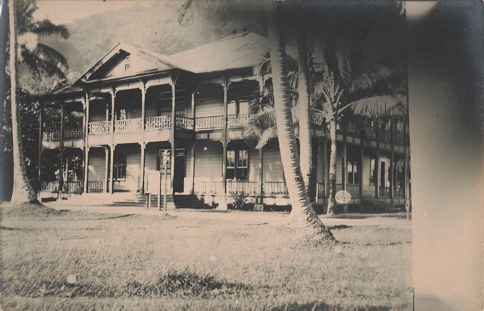 Vintage RPPC Somoa Somoan House Real Photo Postcard Early Palm Trees artsy