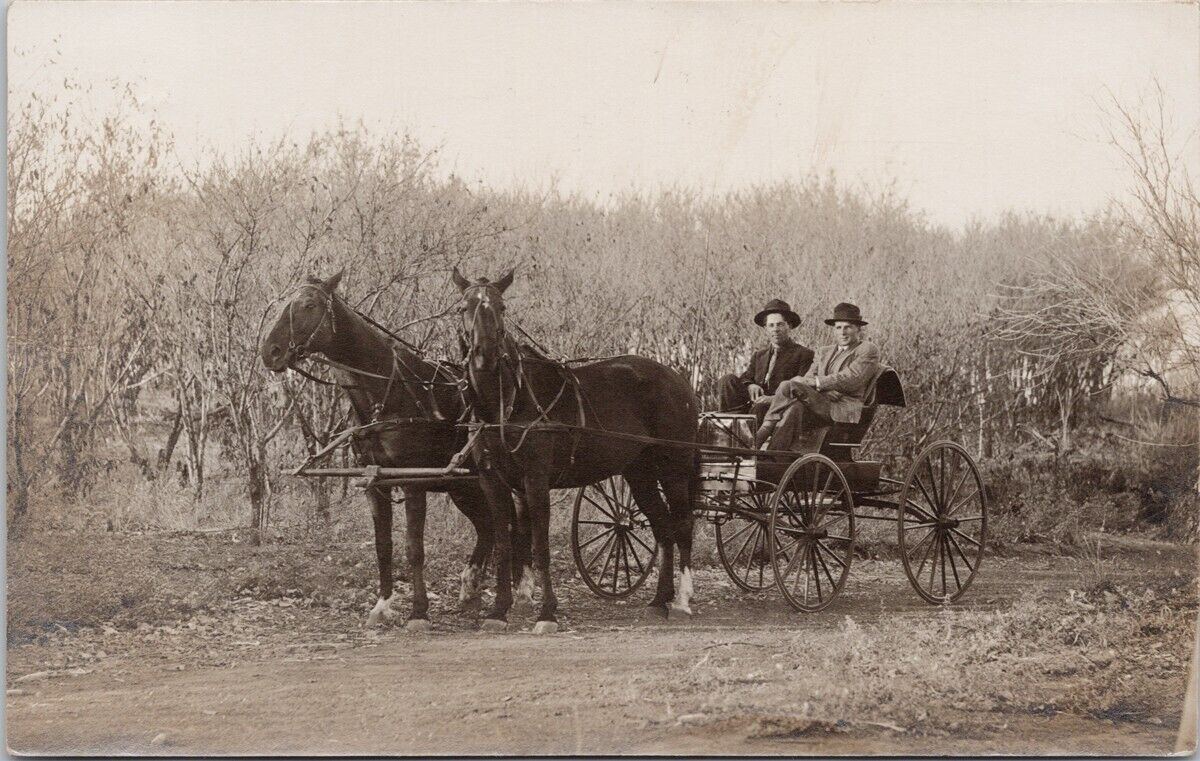 Diller Nebraska area Two Men Horse Carriage c1910 FE Wolken RPPC Postcard E78