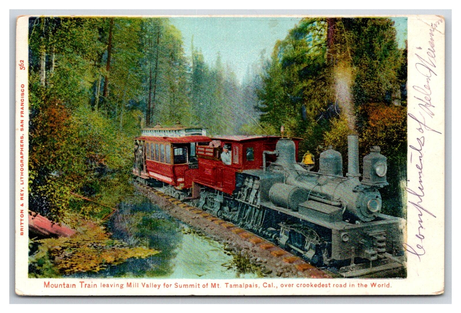STEAM TRAIN MT TAMALPAIS RAILWAY CALIFORNIA ~ Sequoia redwood
