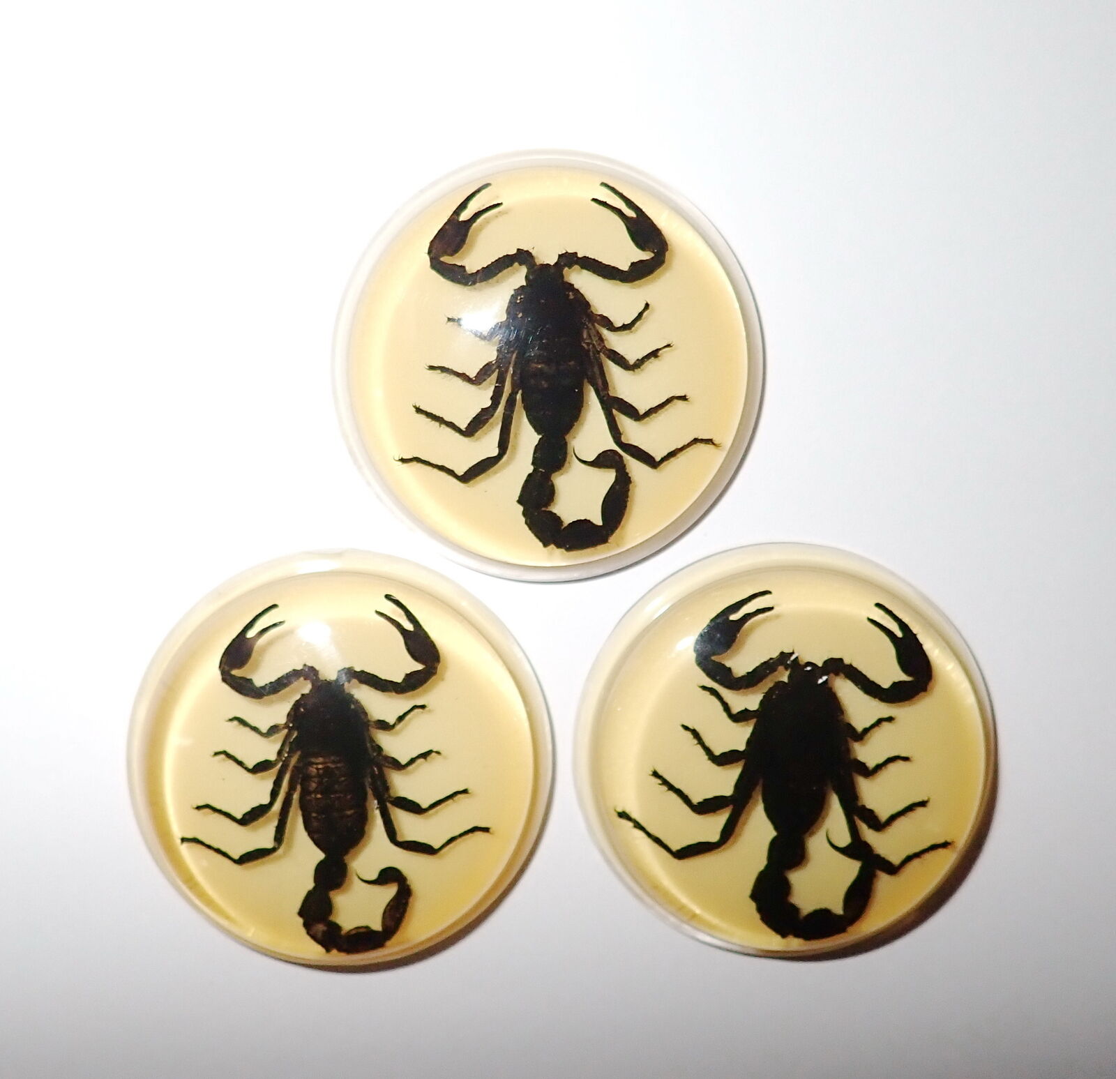 Insect Cabochon Black Scorpion 38.5 mm Round inner 35 mm Amber White 3 pcs Lot