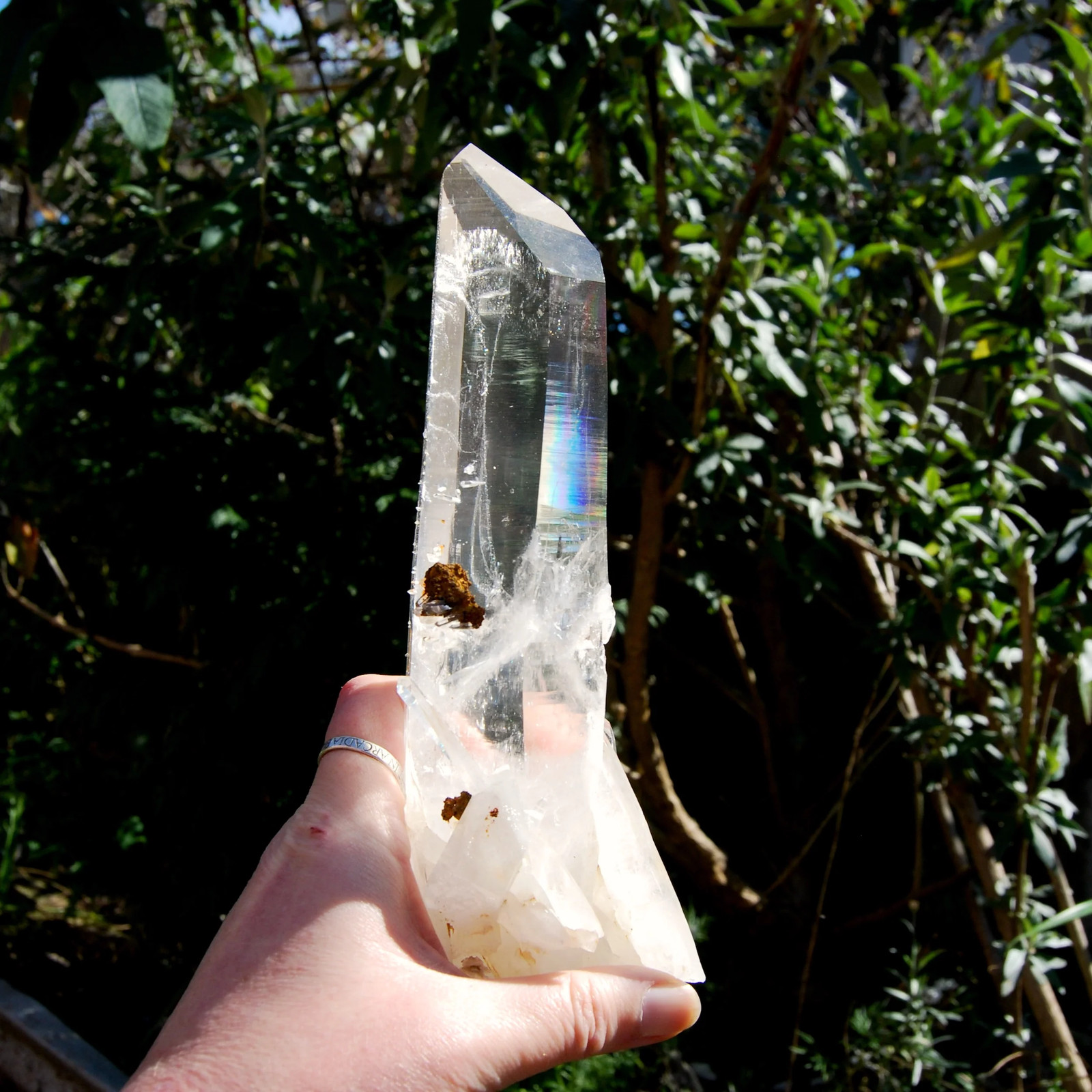 8.5in 740g XL Dow Channeler Blades of Light Lemurian Crystal, Bridge Cross Recor