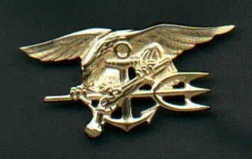 Genuine US Navy SEAL Badge in Gold Trident  US made Genuine Current Issue