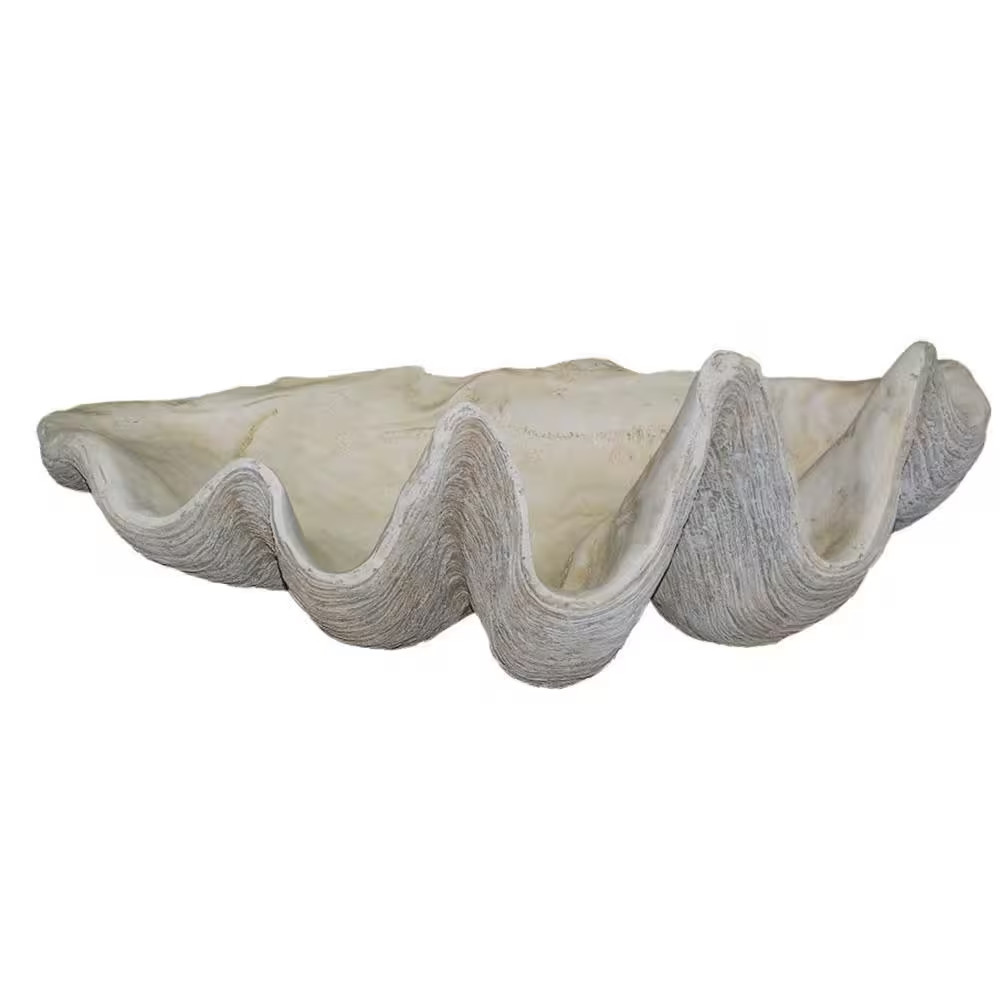 Giant Clam Shell
