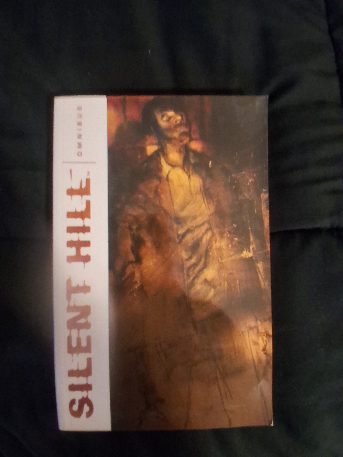 Silent Hill Omnibus IDW 2010 Second Printing, Rare Softcover Graphic Novel Comic Silent Hill Omnibus IDW 2010 Second Printing, Rare Softcover Graphic Novel Comic