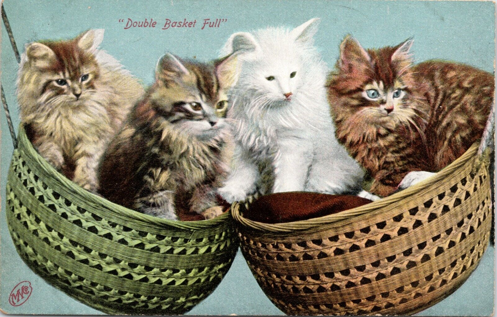 C1910s Adorable Cat Fluffy Kittens DOUBLE BASKET FULL Unused Postcard 820