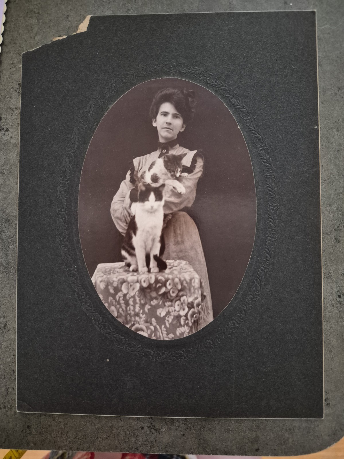 Vtg Antique Cabinet Card Photo 2  Cats Cat 8x6 Victorian Gibson Girl SEPIA