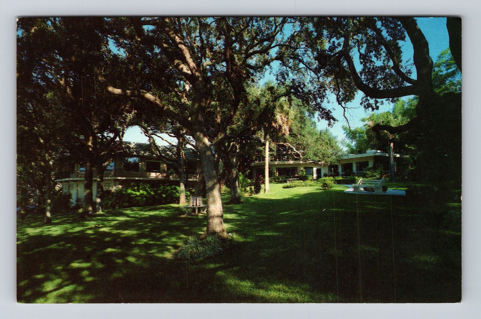 Clearwater FL-Florida, Siple's Garden Seat, Antique, Vintage Souvenir Postcard