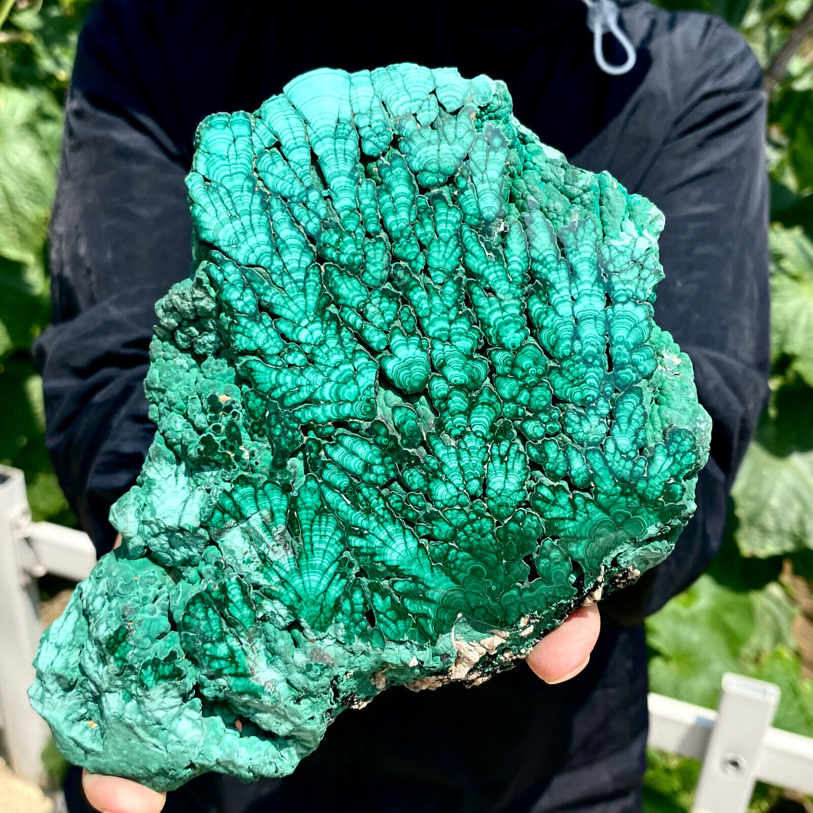 1.46LB Natural Green Malachite Crystal Flaky Pattern Ore Specimen Quartz Healing