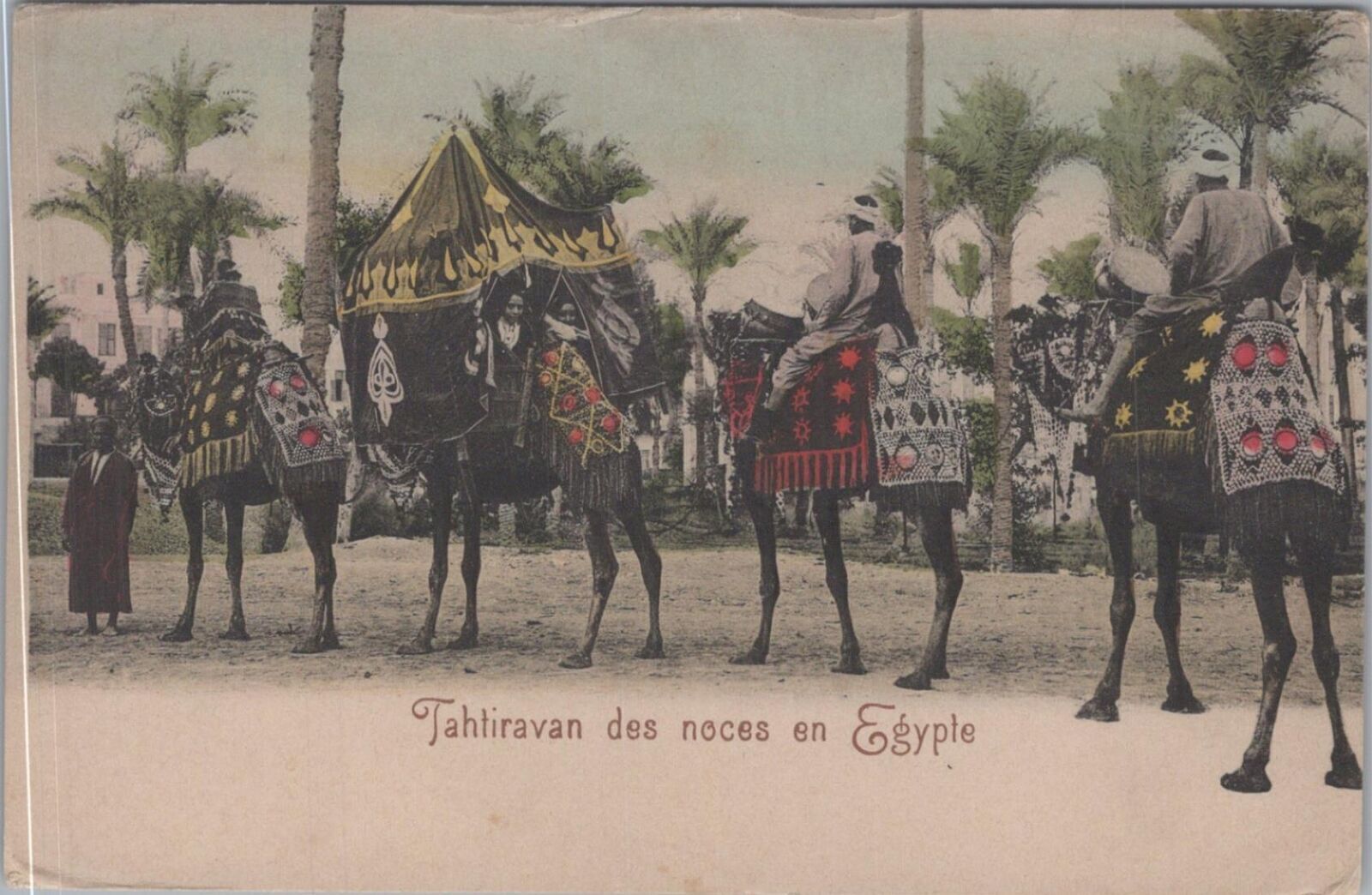 Postcard Caravan Egypt People Riding on Camels 