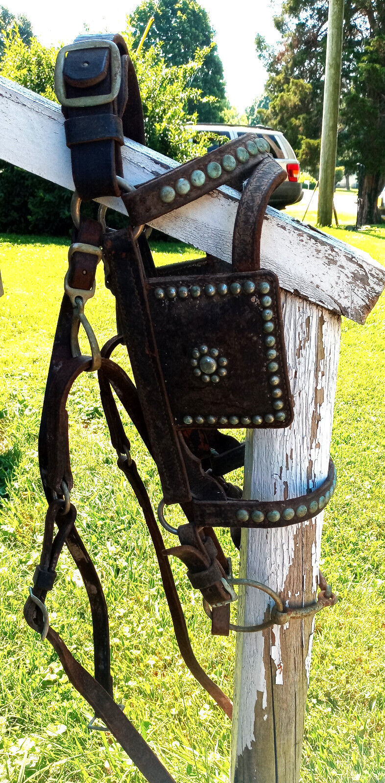 Vintage Antique Studded Horse, Mule Bridle with Lead