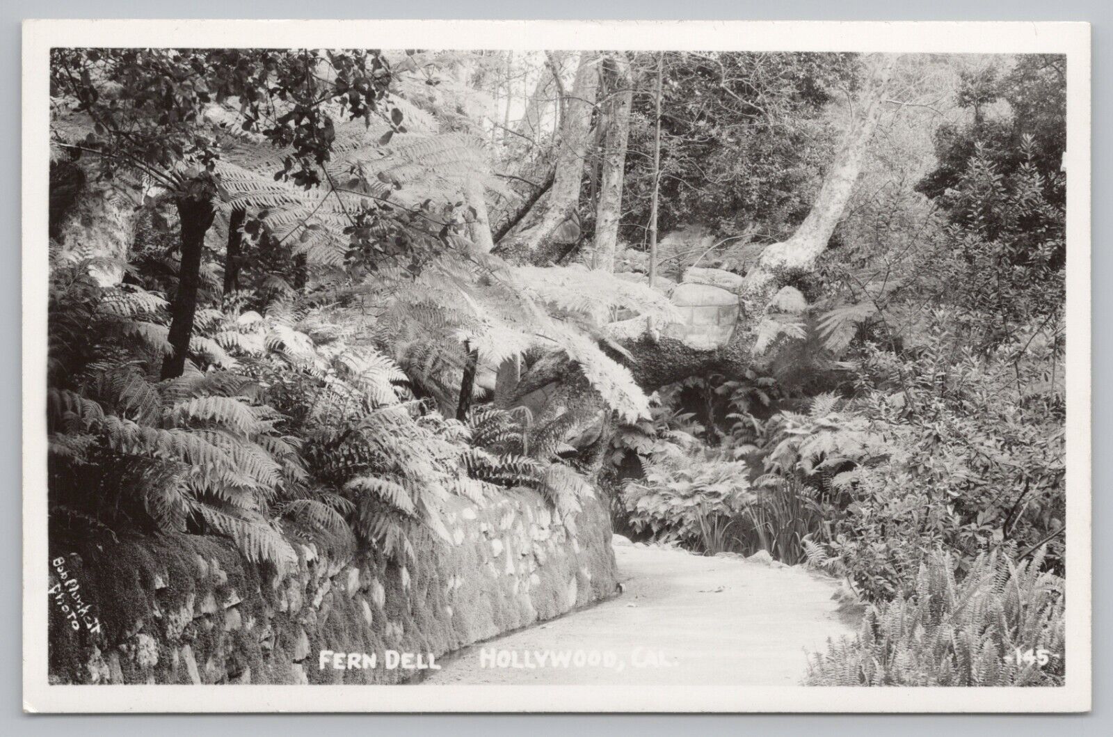 RPPC Hollywood CA Fern Dell c1940 Real Photo Postcard