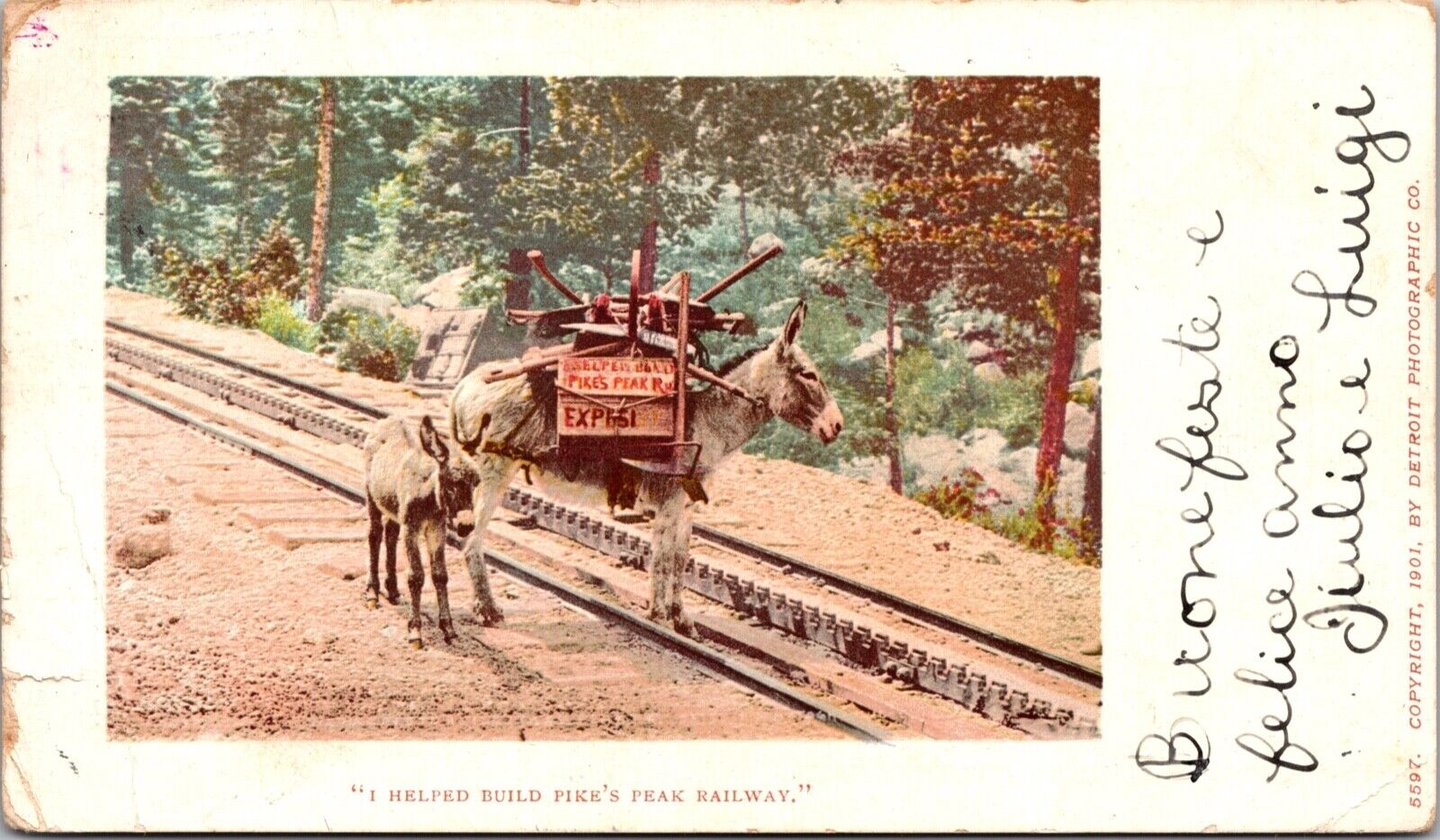 Postcard Donkey Carrying Load, I Helped Build Pike's Peak Railway