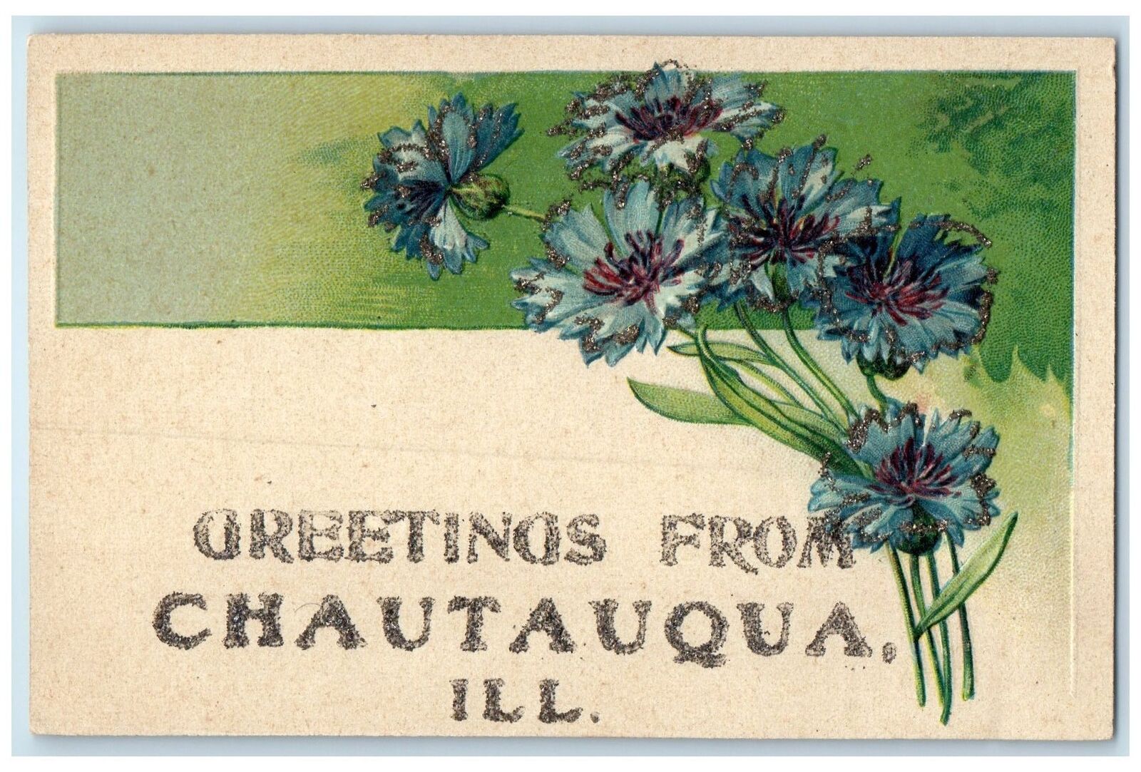 1907 Greetings From Chautauqua Flowers Glitters Illinois Correspondence Postcard