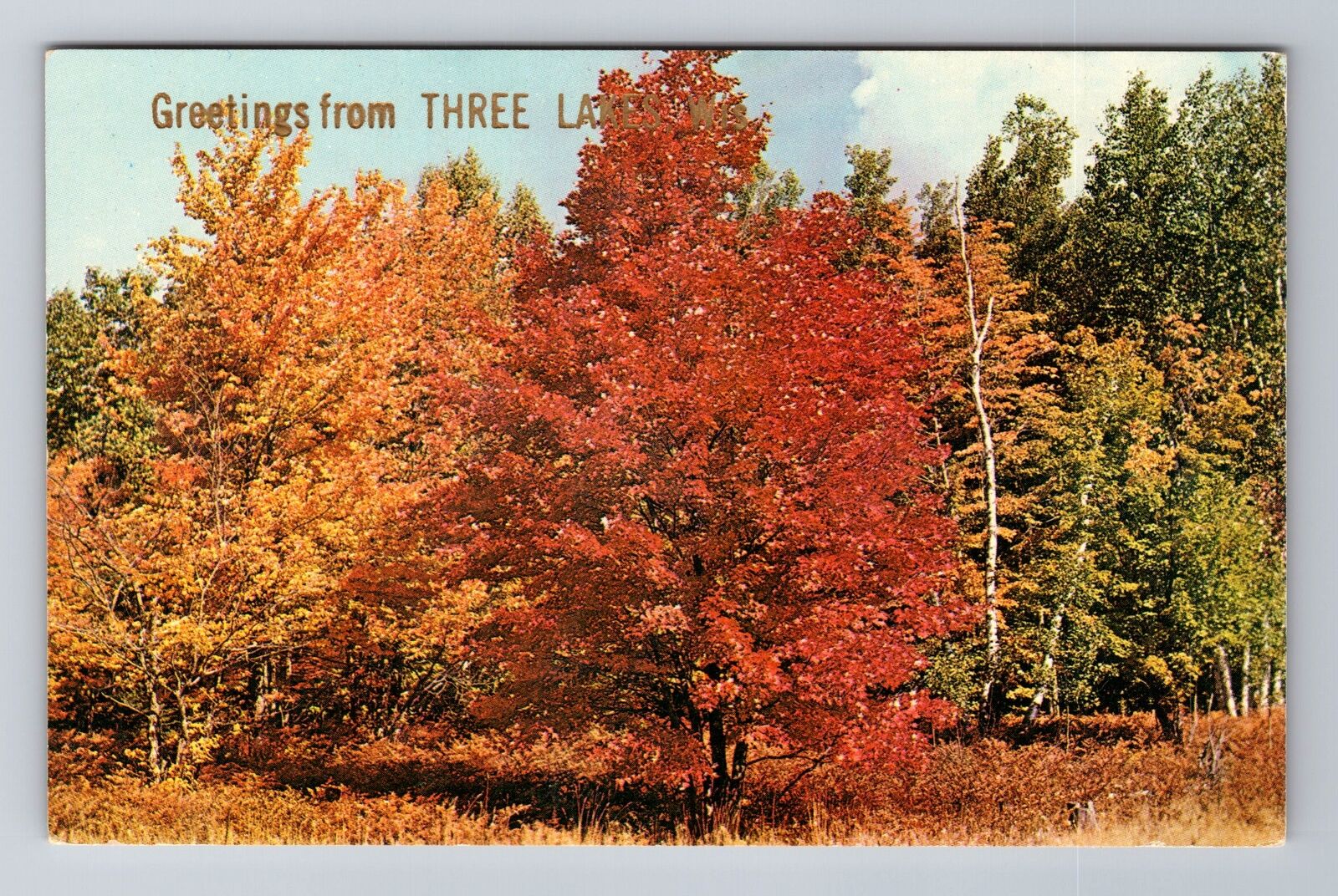 Three Lake WI-Wisconsin, General Greetings, Antique, Vintage Souvenir Postcard