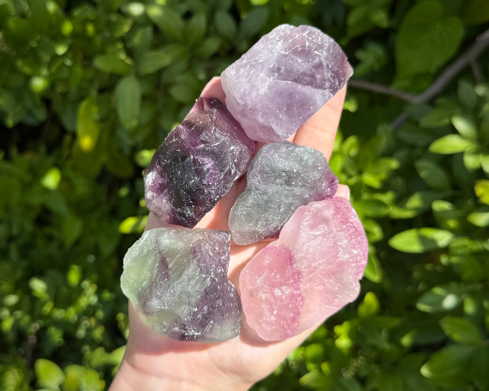 LARGE Fluorite Rough Natural Stones 2 - 3