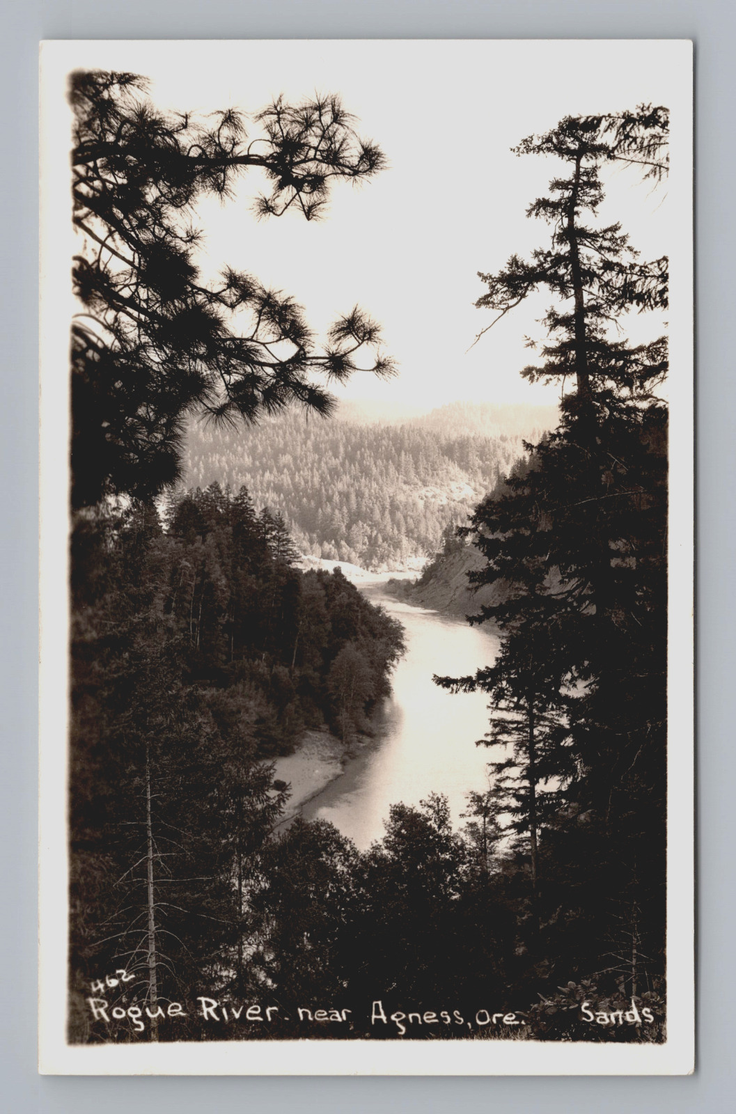 Postcard RPPC Rogue River Near Agness Oregon Unposted