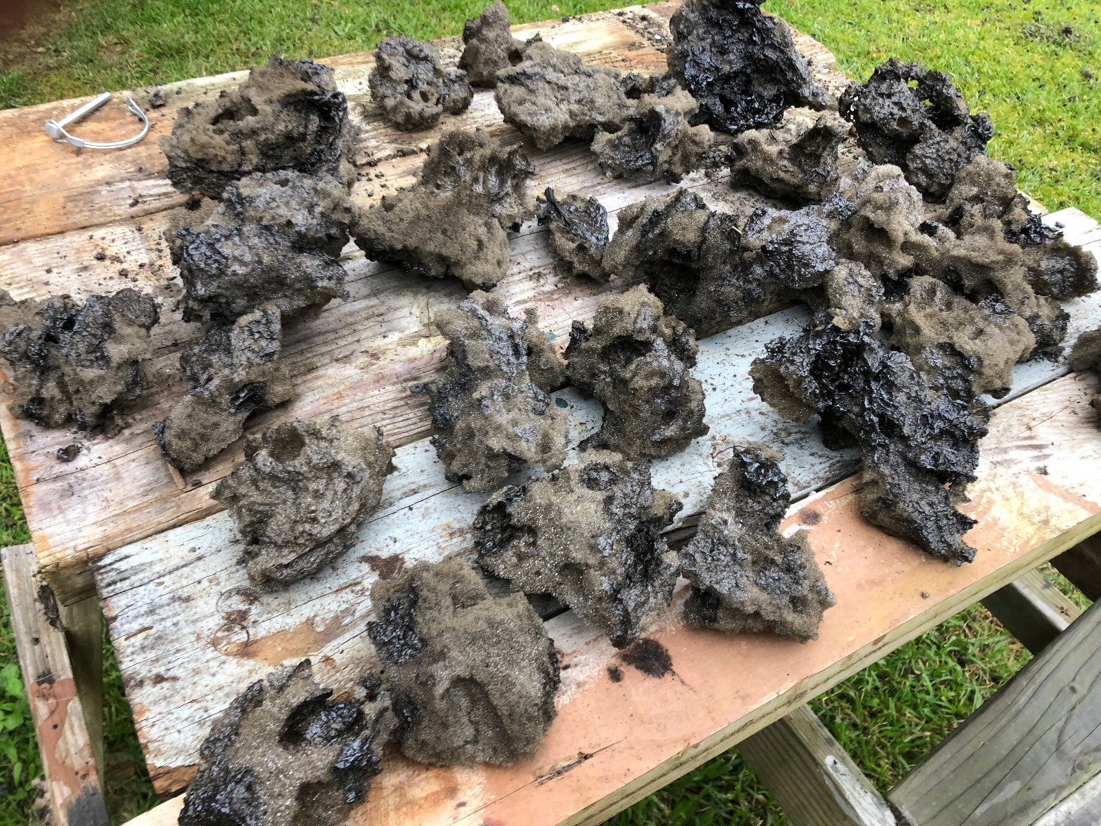 Hawaiian Lava, Volcanic Tephra from the Kilauea Eruption of January 24, 2026 Hawaiian Lava, Volcanic Tephra from the Kilauea Eruption of January 24, 2026