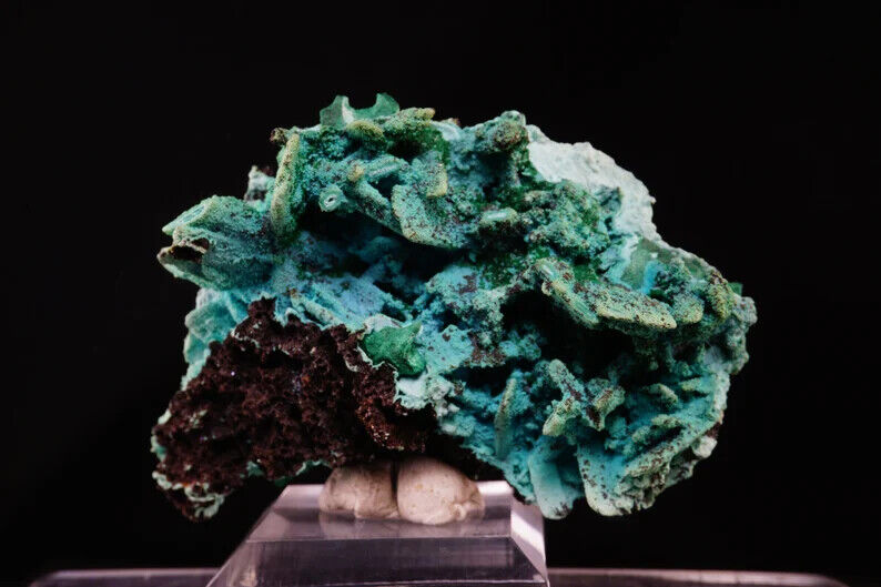 Chrysocolla ps. Malachite ps. Azurite / Fine Mineral Specimen / From Luputo Mine