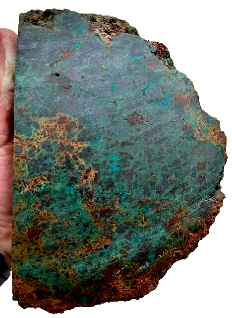 Malachite-Chrysocolla - Cut and Partially Polished - From Western Australia