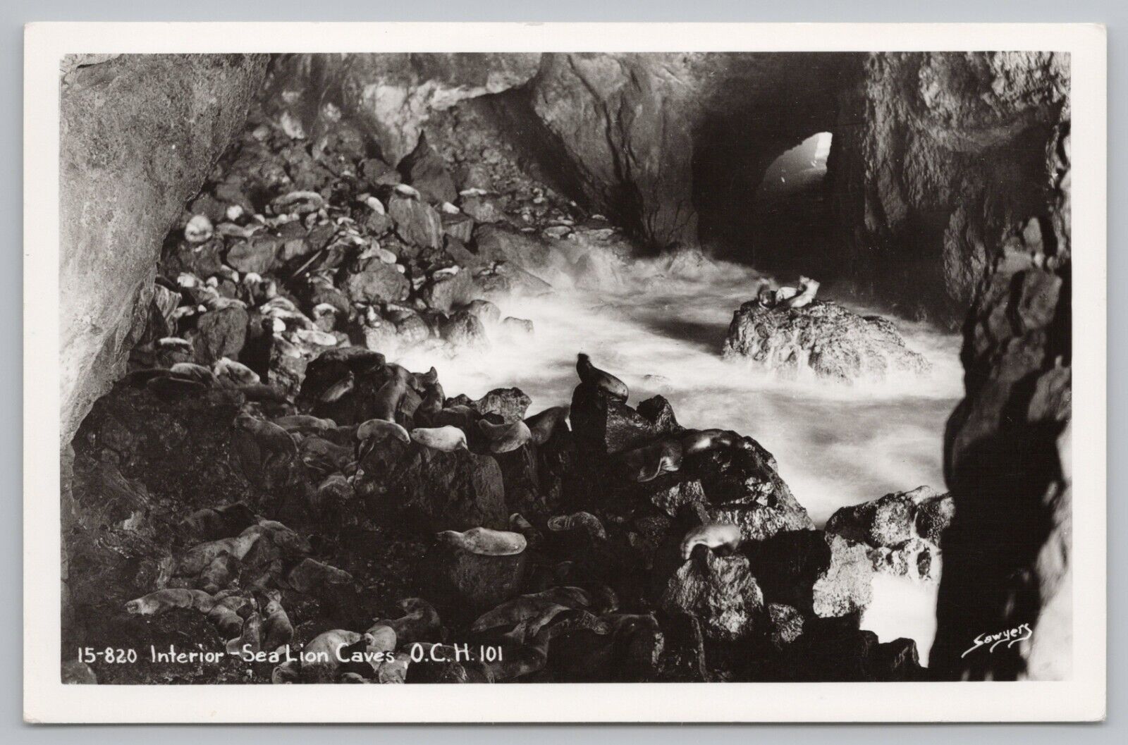 RPPC Florence Oregon Sea Lion Cave c1950 Real Photo Postcard