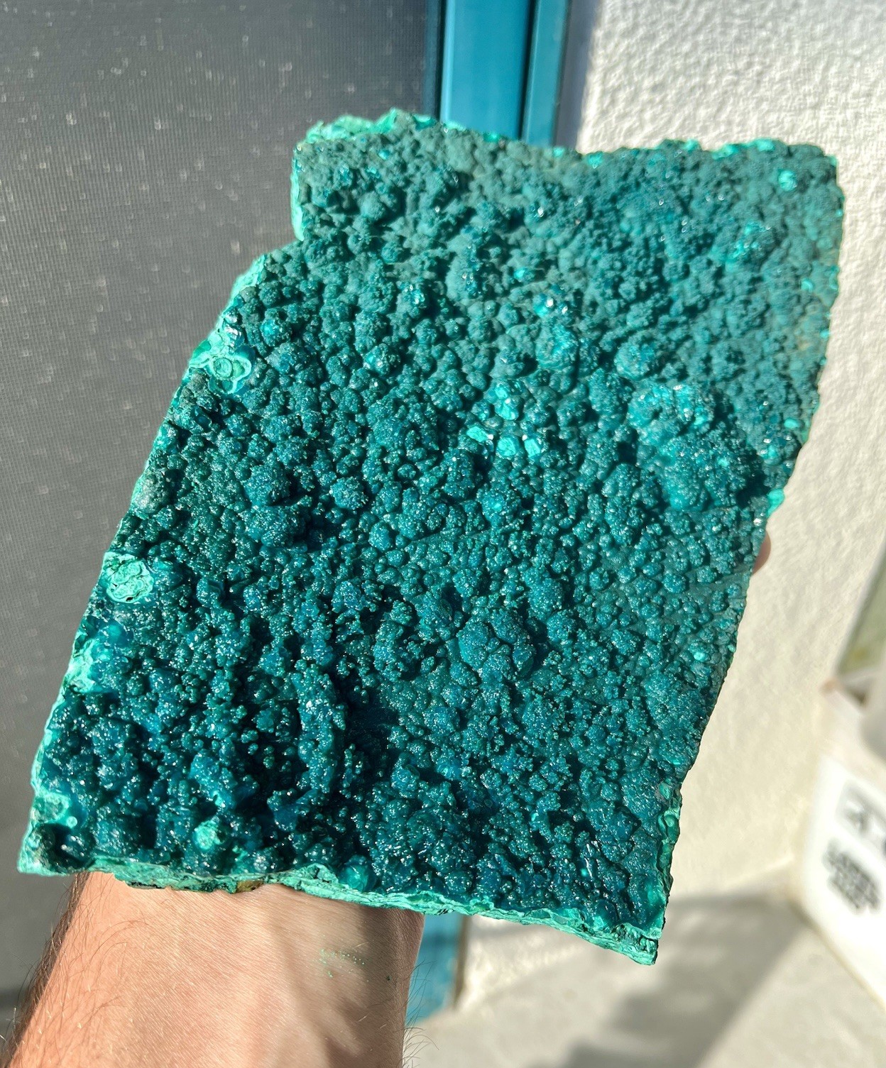 2.4 Pound: Chrysocolla and Malachite from Chile Massive Botryoidal Rough Plate