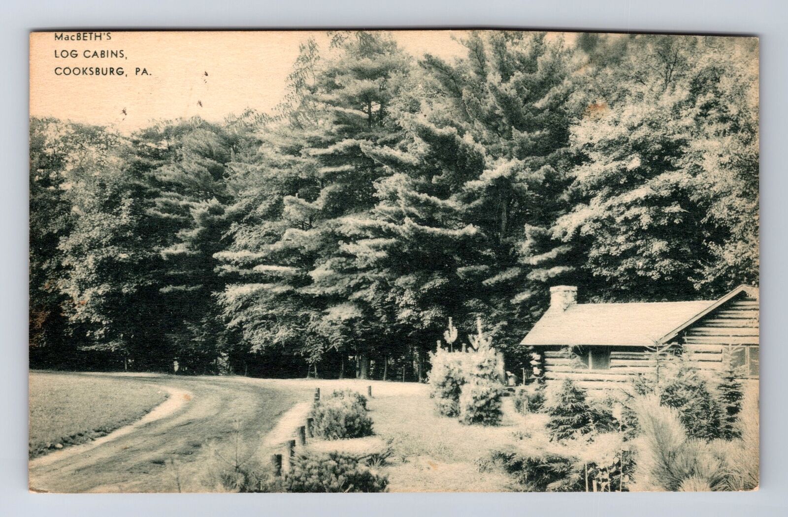 Cooksburg PA-Pennsylvania, MacBeth\'s Log Cabins, Cook Forest Vintage Postcard