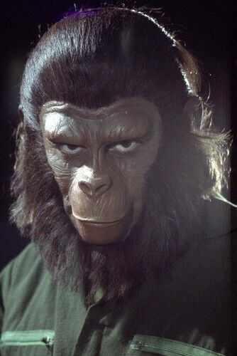 Roddy McDowall 24x36 Poster Planet of the Apes