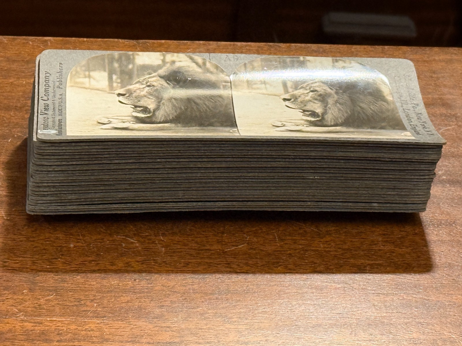 Lot of 25 Keystone ANIMAL views