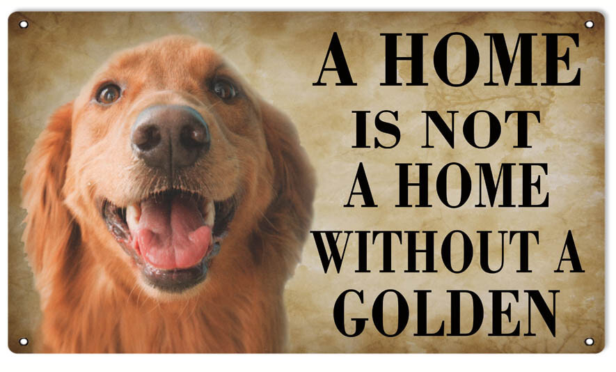 A HOME IS NOT A HOME WITHOUT A GOLDEN 14