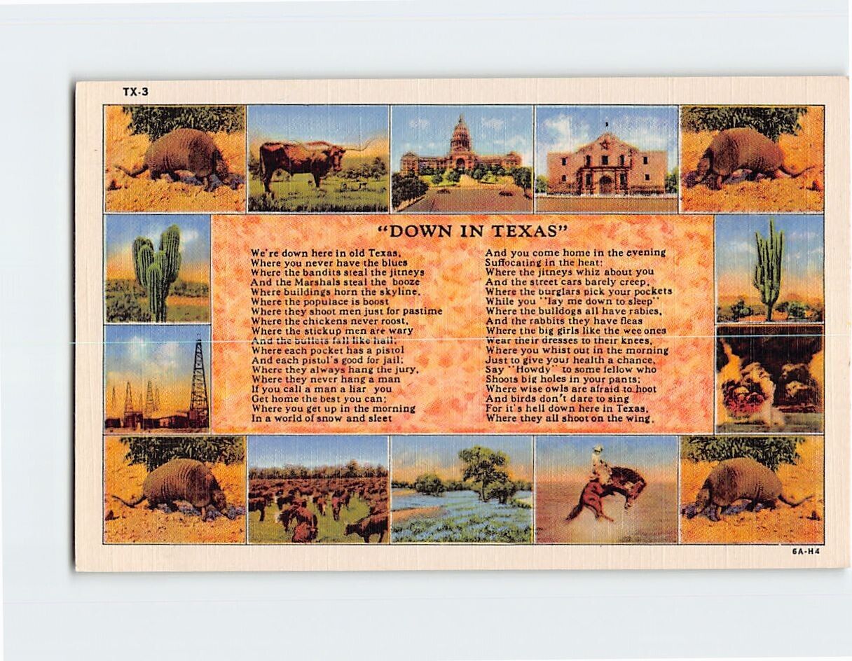 Postcard Down In Texas